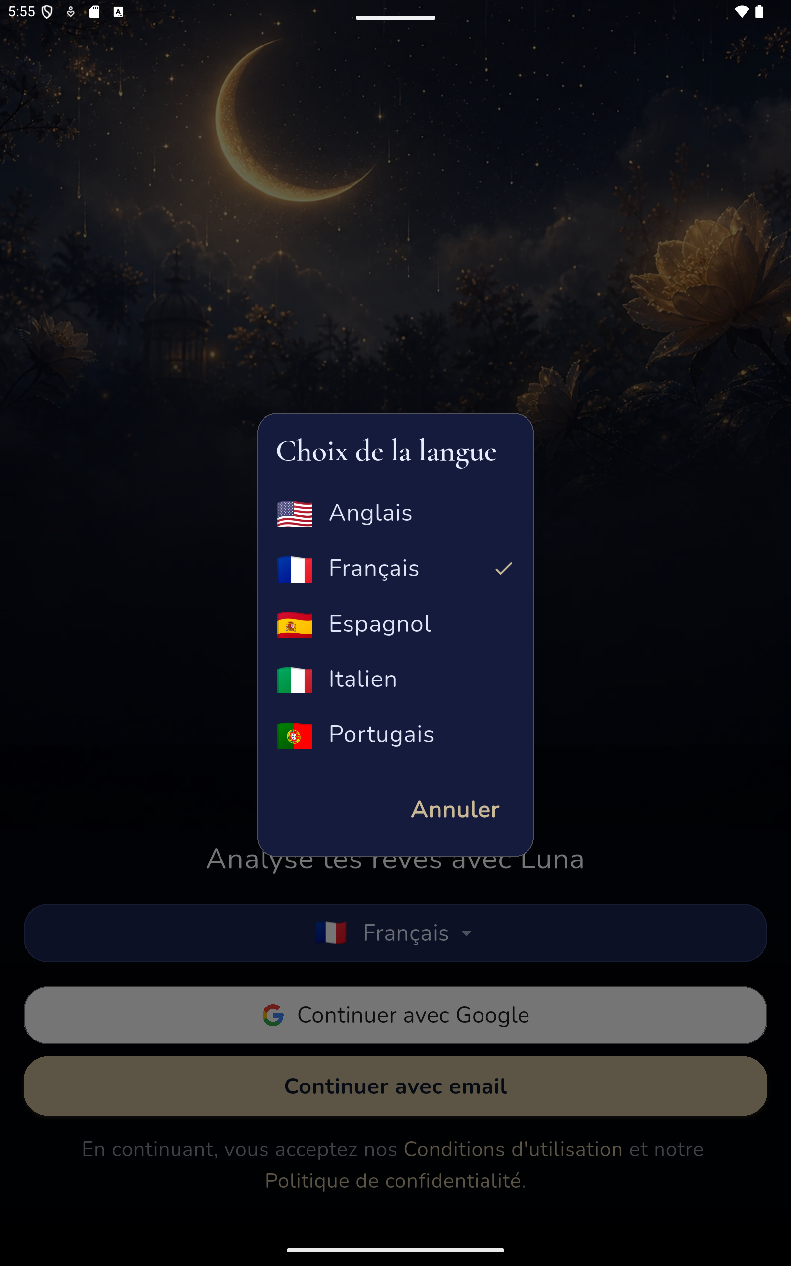 Connexion & langue